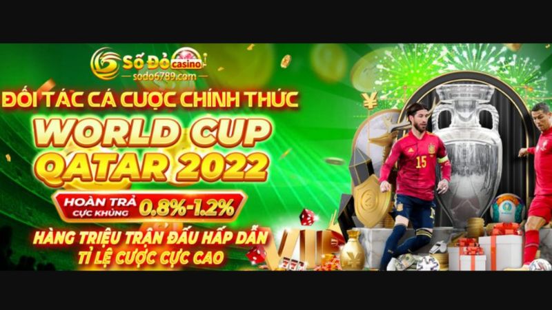 sự lựa chọn chính xác