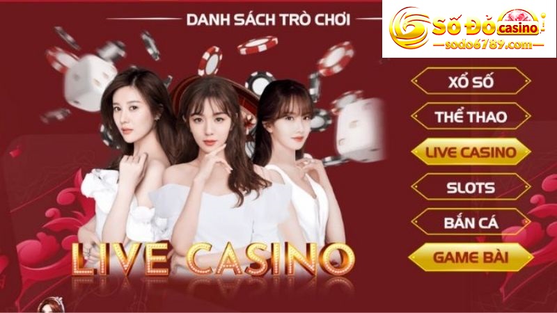 live casino