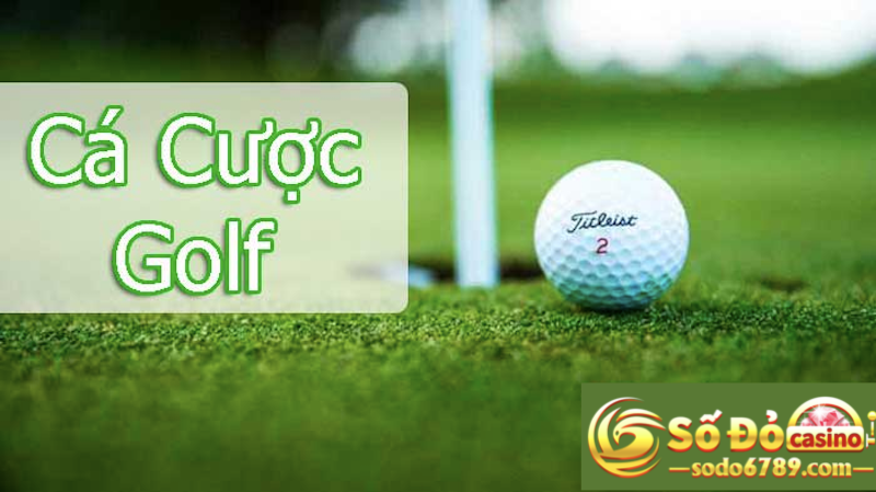 Hướng dẫn cá cược golf